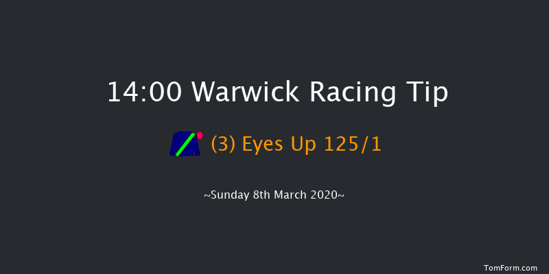 Dreamland Bedding Centre Novices' Hurdle Warwick 14:00 Novices Hurdle (Class 4) 16f Fri 21st Feb 2020