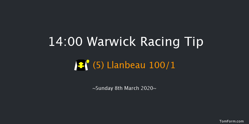 Dreamland Bedding Centre Novices' Hurdle Warwick 14:00 Novices Hurdle (Class 4) 16f Fri 21st Feb 2020