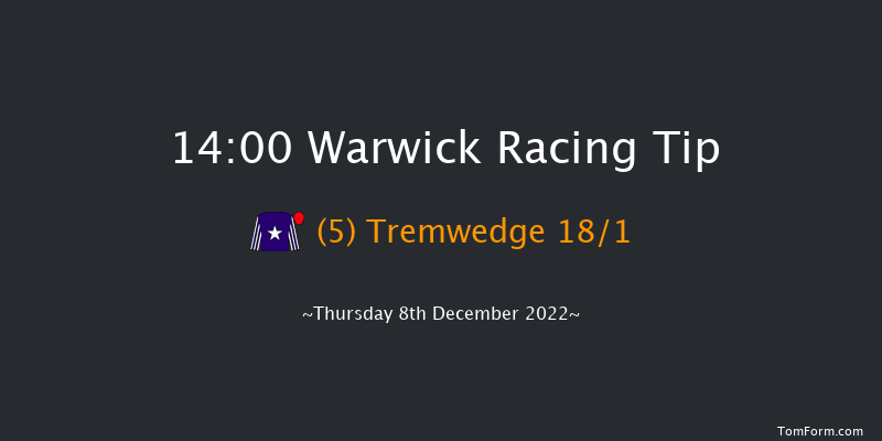 Warwick 14:00 Handicap Chase (Class 4) 16f Wed 16th Nov 2022