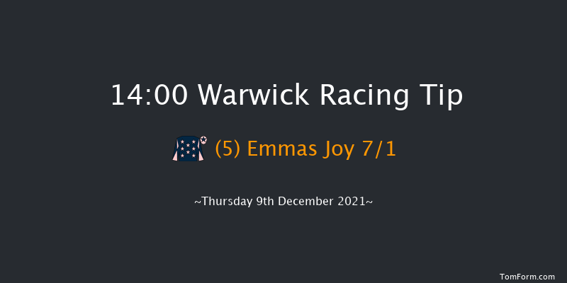 Warwick 14:00 Maiden Chase (Class 1) 20f Wed 17th Nov 2021