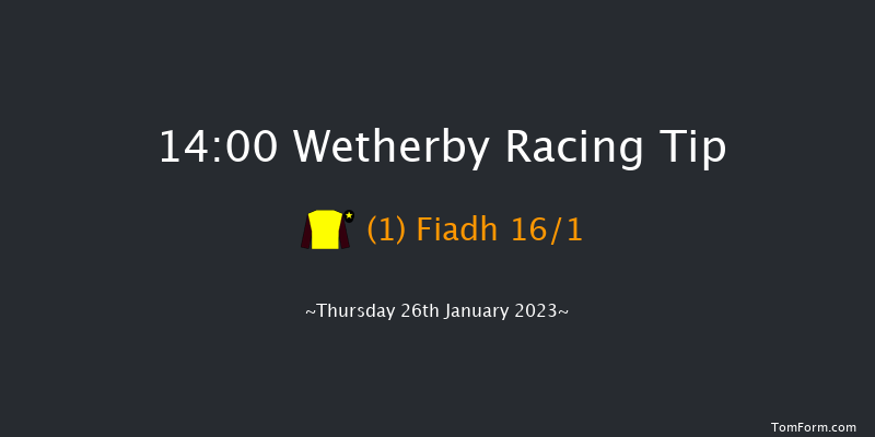 Wetherby 14:00 Handicap Hurdle (Class 5) 20f Sat 14th Jan 2023