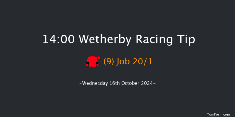 Wetherby  14:00 Novices Hurdle (Class 4) 20f  Tue 11th Jun 2024