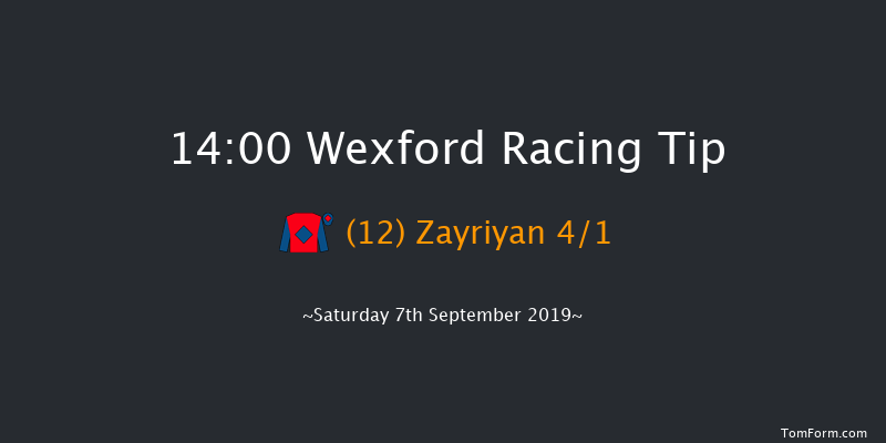 Wexford 14:00 Maiden Hurdle 16f Fri 5th Jul 2019