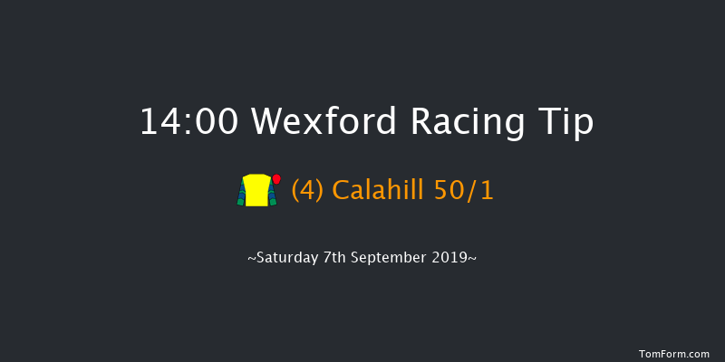 Wexford 14:00 Maiden Hurdle 16f Fri 5th Jul 2019