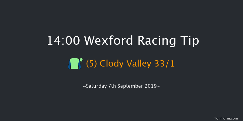 Wexford 14:00 Maiden Hurdle 16f Fri 5th Jul 2019