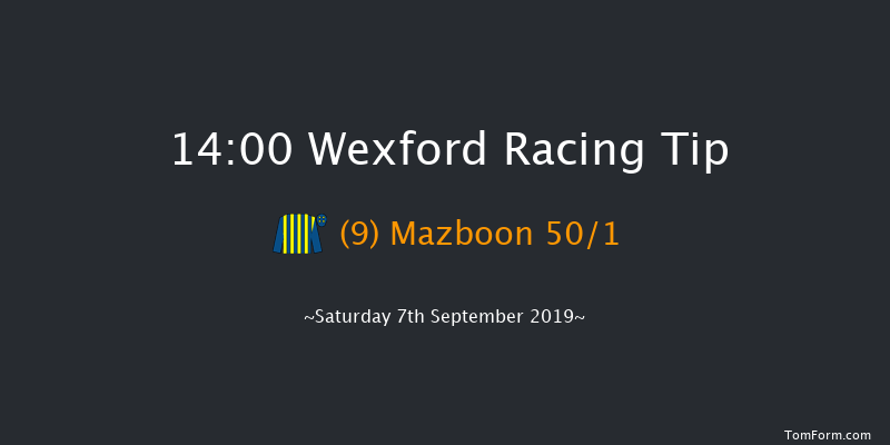 Wexford 14:00 Maiden Hurdle 16f Fri 5th Jul 2019