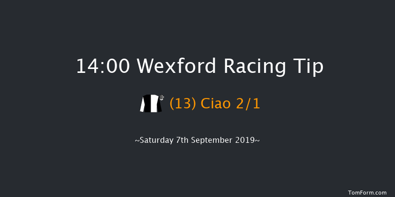 Wexford 14:00 Maiden Hurdle 16f Fri 5th Jul 2019