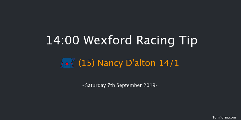Wexford 14:00 Maiden Hurdle 16f Fri 5th Jul 2019