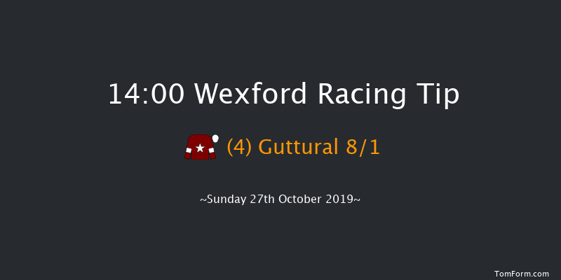 Wexford 14:00 Maiden Hurdle 17f Sat 7th Sep 2019
