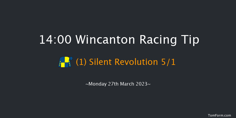 Wincanton 14:00 Handicap Hurdle (Class 3) 20f Thu 9th Mar 2023