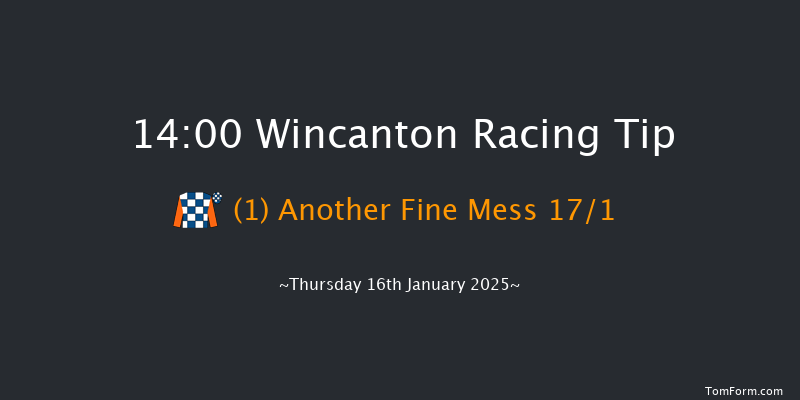 Wincanton  14:00 Handicap Hurdle (Class 5) 15f Sat 4th Jan 2025