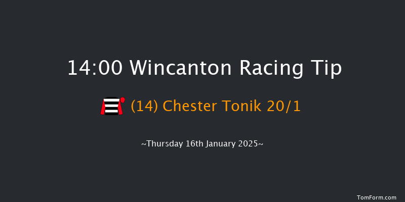 Wincanton  14:00 Handicap Hurdle (Class 5) 15f Sat 4th Jan 2025