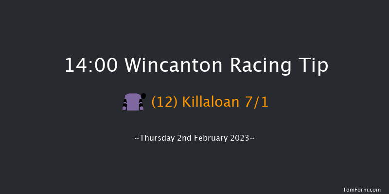 Wincanton 14:00 Novices Hurdle (Class 3) 15f Sat 7th Jan 2023