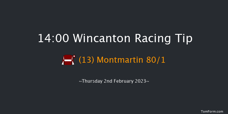 Wincanton 14:00 Novices Hurdle (Class 3) 15f Sat 7th Jan 2023