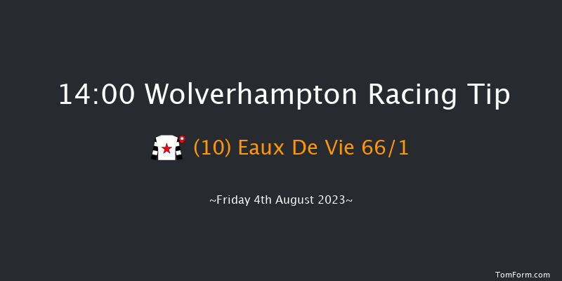 Wolverhampton 14:00 Handicap (Class 6) 14f Tue 25th Jul 2023