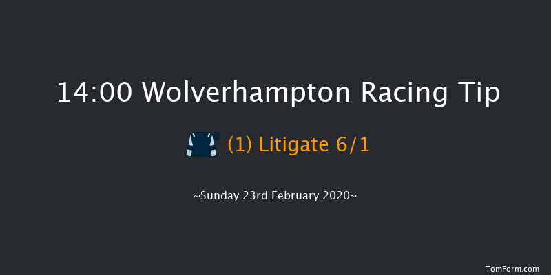 Best Odds Visit novibet.co.uk Standard Open NH Flat Race Wolverhampton 14:00 16f Fri 21st Feb 2020