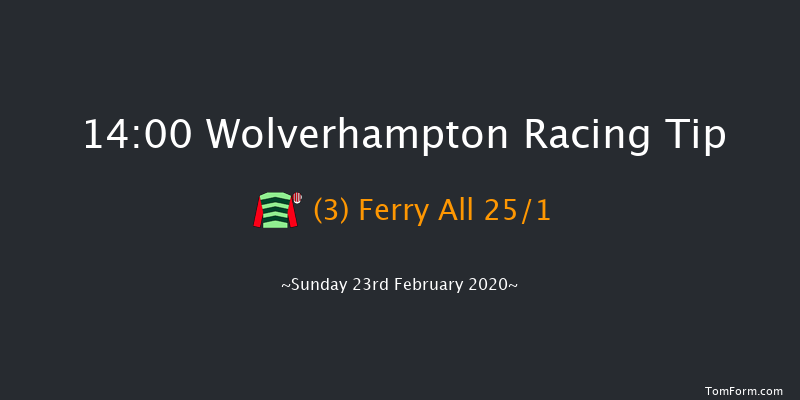 Best Odds Visit novibet.co.uk Standard Open NH Flat Race Wolverhampton 14:00 16f Fri 21st Feb 2020