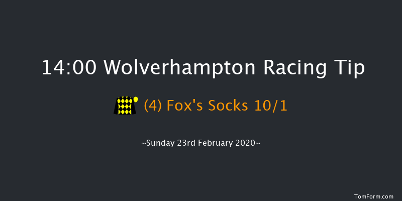 Best Odds Visit novibet.co.uk Standard Open NH Flat Race Wolverhampton 14:00 16f Fri 21st Feb 2020