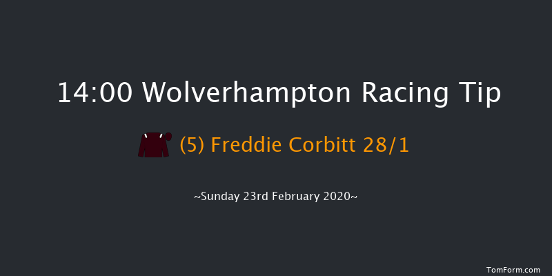 Best Odds Visit novibet.co.uk Standard Open NH Flat Race Wolverhampton 14:00 16f Fri 21st Feb 2020