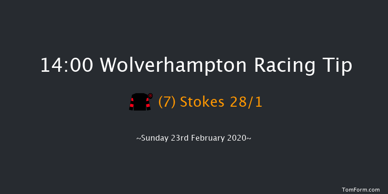 Best Odds Visit novibet.co.uk Standard Open NH Flat Race Wolverhampton 14:00 16f Fri 21st Feb 2020