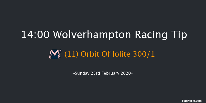 Best Odds Visit novibet.co.uk Standard Open NH Flat Race Wolverhampton 14:00 16f Fri 21st Feb 2020