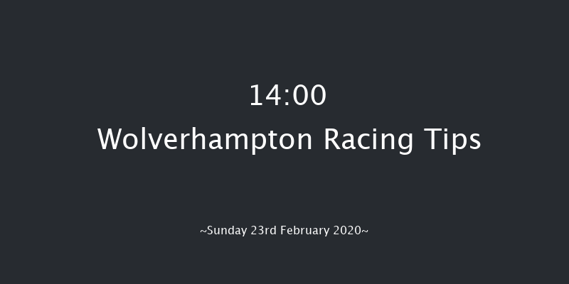 Best Odds Visit novibet.co.uk Standard Open NH Flat Race Wolverhampton 14:00 16f Fri 21st Feb 2020