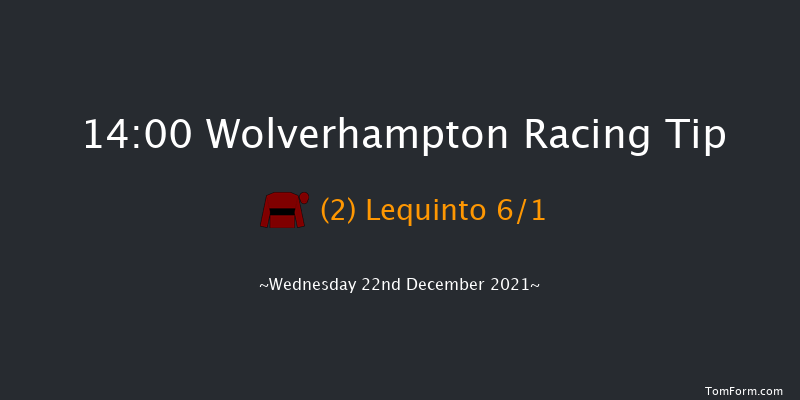 Wolverhampton 14:00 Handicap (Class 4) 9f Mon 20th Dec 2021