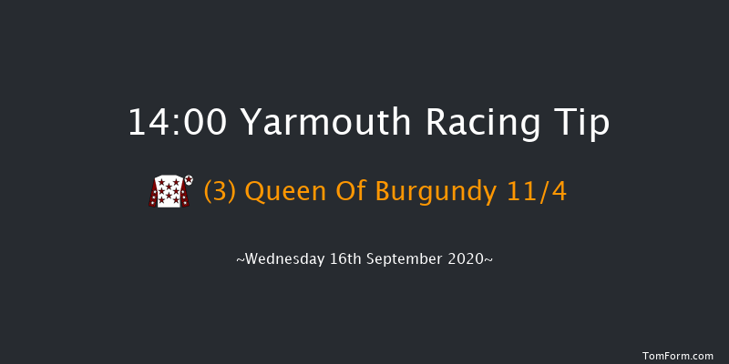 Watch Free Race Replays On attheraces.com Fillies' Handicap Yarmouth 14:00 Handicap (Class 5) 6f Tue 15th Sep 2020