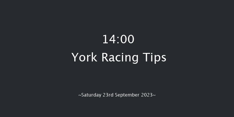 York 14:00 Stakes (Class 4) 6f Sun 10th Sep 2023