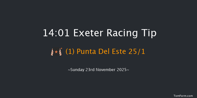 Exeter 14-01 (Class 3) 18f Mon 17th Nov 2025