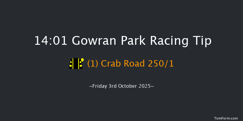 Gowran Park 14-01 16f Sat 20th Sep 2025