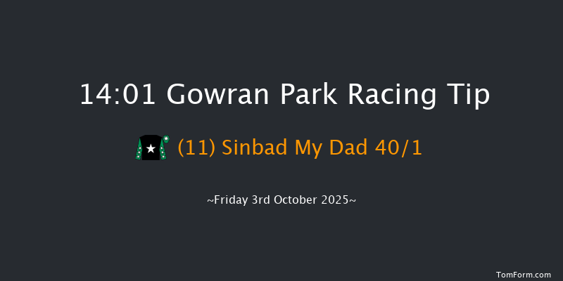 Gowran Park 14-01 16f Sat 20th Sep 2025