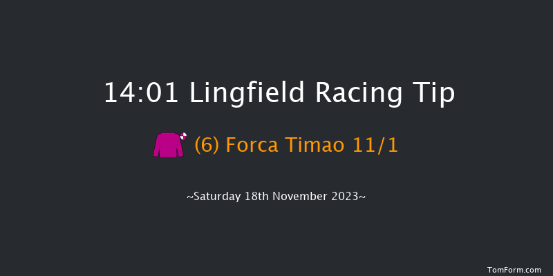 Lingfield 14:01 Handicap (Class 3) 10f Tue 14th Nov 2023