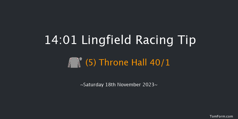 Lingfield 14:01 Handicap (Class 3) 10f Tue 14th Nov 2023