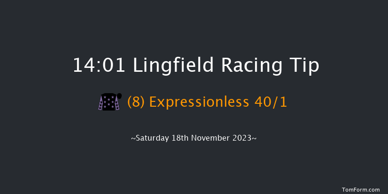 Lingfield 14:01 Handicap (Class 3) 10f Tue 14th Nov 2023