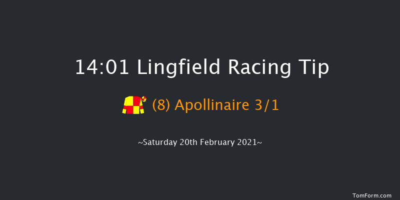 Bombardier British-Hopped Amber Beer Handicap Lingfield 14:01 Handicap (Class 3) 7f Fri 19th Feb 2021
