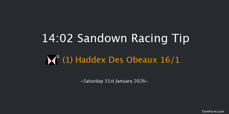 Sandown 14-02 (Class 2) 15f Sat 3rd Jan 2026
