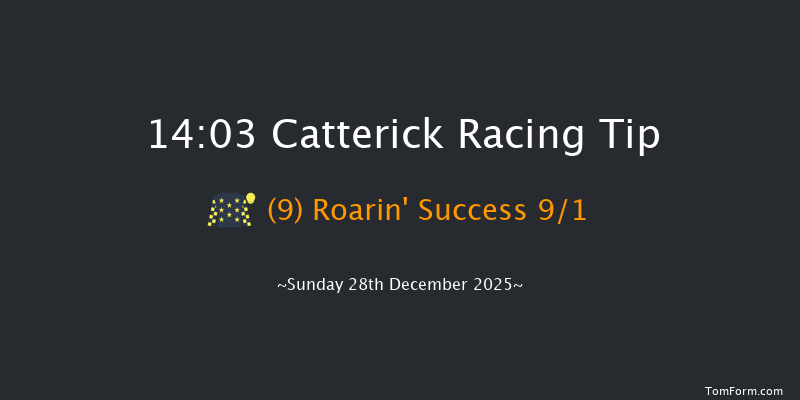 Catterick 14-03 (Class 4) 15f Tue 16th Dec 2025