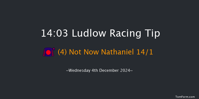 Ludlow  14:03 Handicap Hurdle (Class 2) 16f Mon 25th Nov 2024