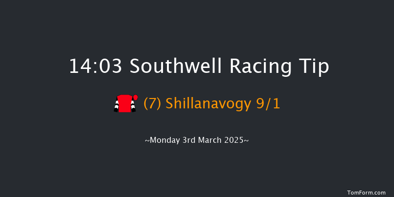 Southwell  14:03 Handicap Chase (Class 4) 24f Sat 1st Mar 2025