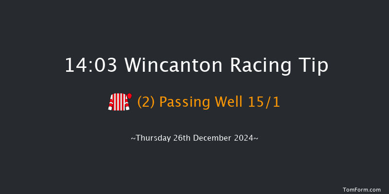 Wincanton  14:03 Handicap Chase (Class 3) 25f Tue 17th Dec 2024