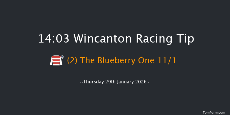 Wincanton 14-03 (Class 4) 20f Thu 15th Jan 2026
