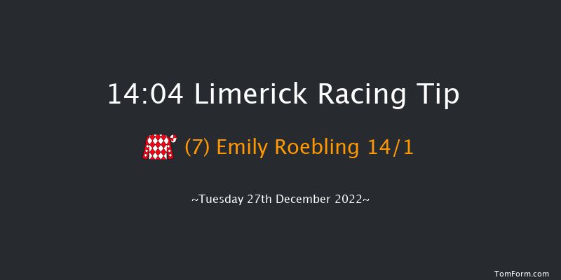 Limerick 14:04 Maiden Hurdle 20f Mon 26th Dec 2022
