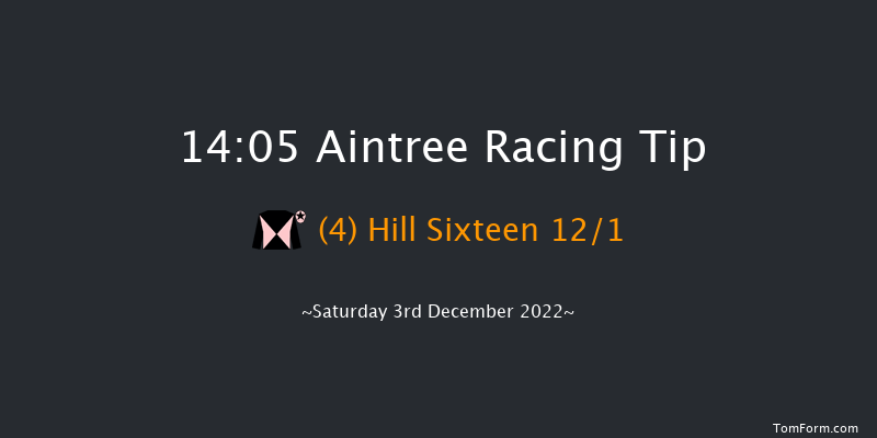 Aintree 14:05 Handicap Chase (Class 1) 26f Sat 5th Nov 2022