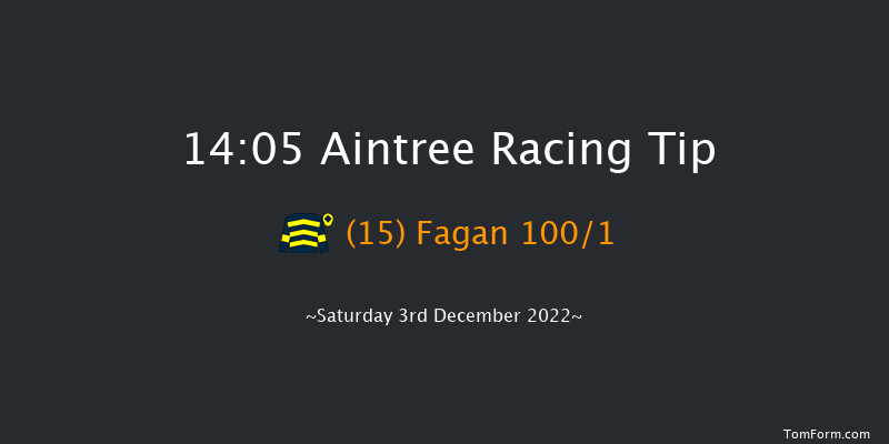 Aintree 14:05 Handicap Chase (Class 1) 26f Sat 5th Nov 2022