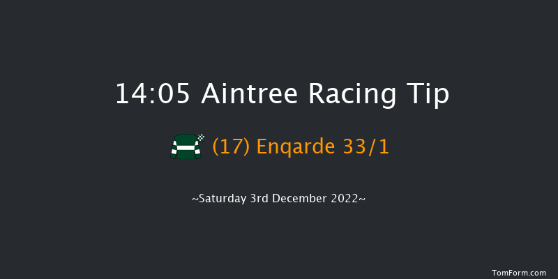 Aintree 14:05 Handicap Chase (Class 1) 26f Sat 5th Nov 2022