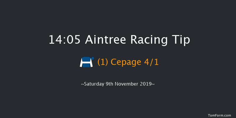 Aintree 14:05 Handicap Chase (Class 2) 20f Sun 27th Oct 2019