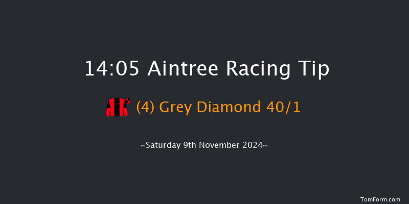 Aintree  14:05 Handicap Chase (Class 3) 16f Sun 27th Oct 2024