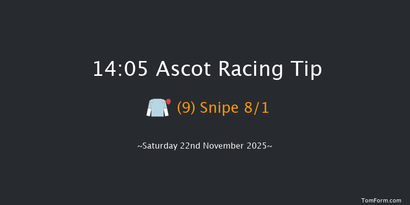 Ascot 14-05 (Class 2) 29f Fri 21st Nov 2025