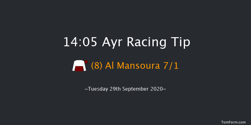 Branding Hub Handicap (Div 1) Ayr 14:05 Handicap (Class 6) 7f Sat 19th Sep 2020